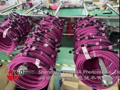 12 Fiber MPO Kadın Bağlantı Patch Cord OM4 50/125um Elite Kayıp 0.35dB Mor Polarite A