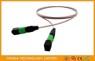 satın al 12 Çekirdekli Şerit Fiber Mpo - Mpo Jumper, Mtp / Erkek Tek Modlu Fiber Kablo Çevrimiçi üretim