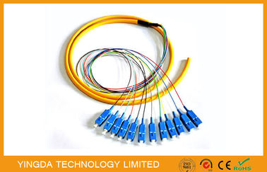 satın al Sanayi 12 Çekirdek SC Fiber Optik Pigtail Koparma, FTTH SM LSZH SC Pigtail Corning Fiber G652D Çevrimiçi üretim