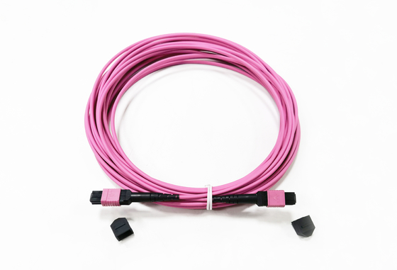 satın al 12 Fiber MPO Dişi Konnektör Yama Kablosu OM4 50/125um Elite Kaybı 0.35dB Mor Polarite A Çevrimiçi üretim