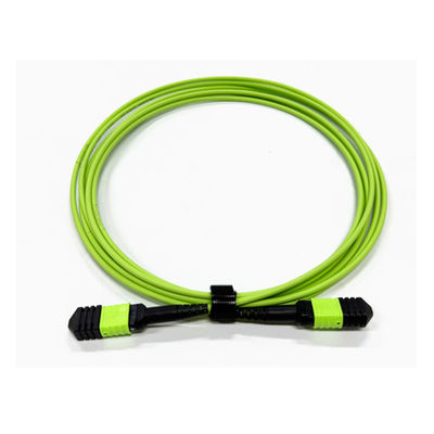 Yüksek yoğunluklu 12 çekirdekli multimod OM5 100G Fiber Optic MPO'ya MPO Kablosu Tip B Fiber Optic İletişim Sistemi için